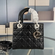 Christian Dior Top Handle Bags